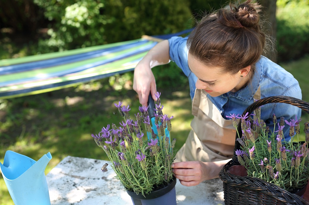 Usługi ogrodnicze Poznań 